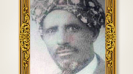 Eritrean Jeberti Network - EJN