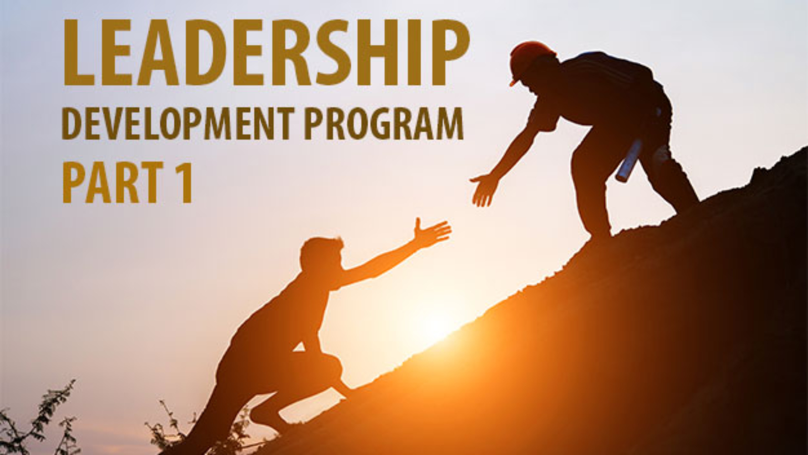 leadership-develpment-program